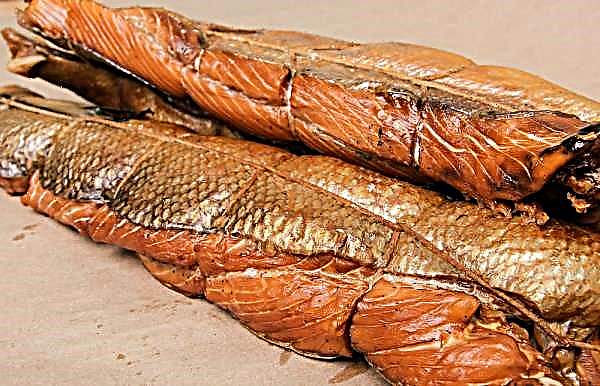 Пушена слама от сьомга: студена и гореща пушена риба, рецепти със снимки, как да се пуши и сол у дома