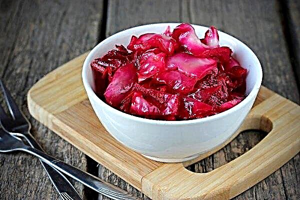 Delicious recipes for pickled cabbage for the winter, storage features