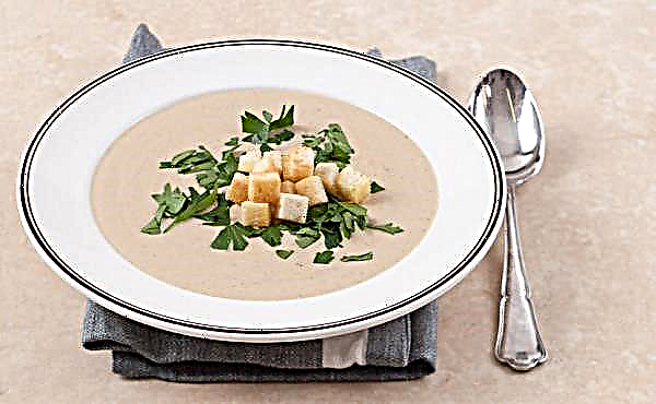 Como fazer um delicioso purê de sopa de cogumelos: uma receita simples, passo a passo, com fotos