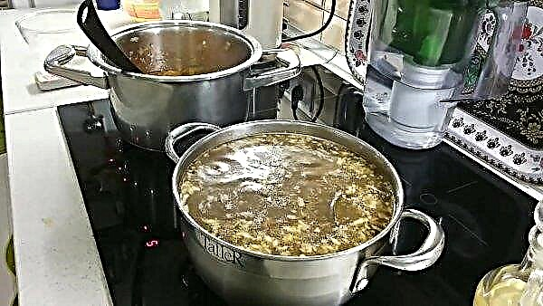 Sopa de champiñones de hongos porcini secos: con papas, con carne, cómo cocinar, la receta clásica paso a paso