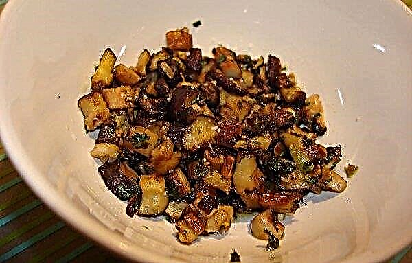 كيفية طهي الفطر شيتاكي: وصفات لصنع طازجة ومجمدة ، كم للطهي ، بدلاً من استبداله
