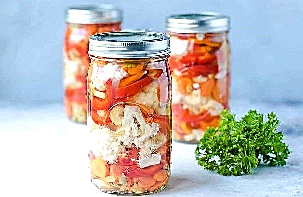 Salade de chou-fleur pour l'hiver: recettes