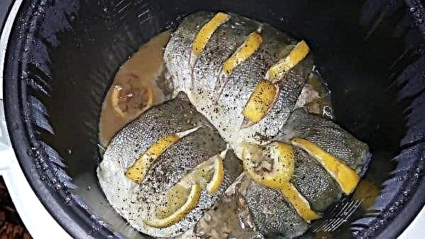 Saumon rose dans une mijoteuse: comment faire cuire du poisson juteux et doux, comment faire cuire avec de la crème sure et des légumes, avec des tomates et du fromage, des recettes, des photos