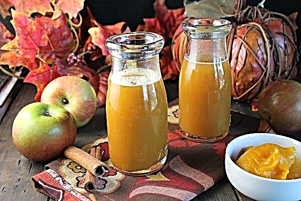 Apple juice for the winter at home: how to cook using a juicer