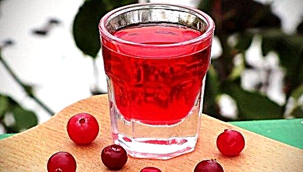 How to make delicious cranberry liquor at home