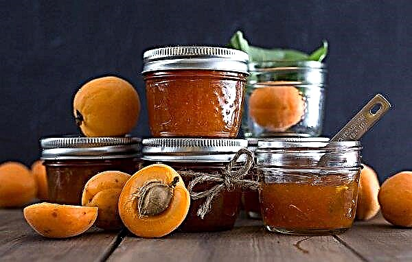Selai aprikot tanpa biji dengan lemon: nilai gizi, resep terbaik, metode penyimpanan di rumah