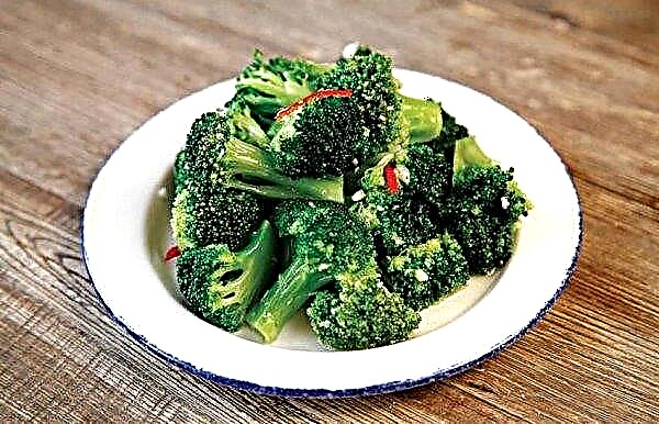 Mit Brokkoli marinierter Kohl für den Winter: die köstlichsten Rezepte, die mit Fotos gekocht werden