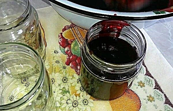 How to make blackcurrant jam: a simple recipe for the winter