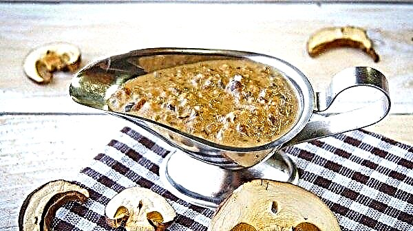 Dried mushroom sauce: recipe with sour cream or butter