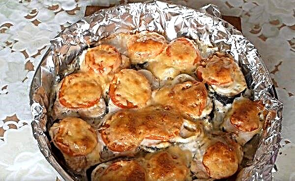 Baked pink salmon in the oven with tomatoes and cheese: a recipe with a photo of how to bake in foil