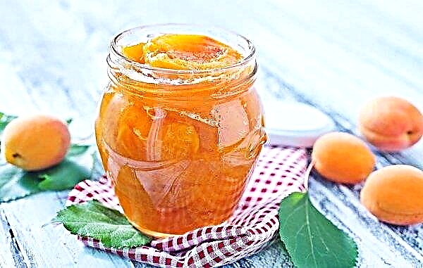 Meruňkový džem v pomalém hrnci, nejlepší recepty
