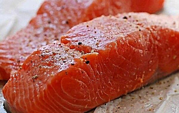 So salzen Sie rosa Lachs mit Cognac: Rezepte für gesalzenen Fisch für Lachs mit einem mit Gewürzen gesalzenen Video