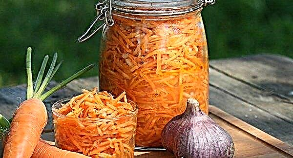 How to salt grated carrots for the winter in jars: the best recipes