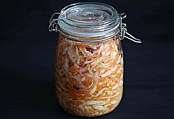 Sauerkraut in the “grandmother's” way for the winter: the most delicious recipe, cooking with photos