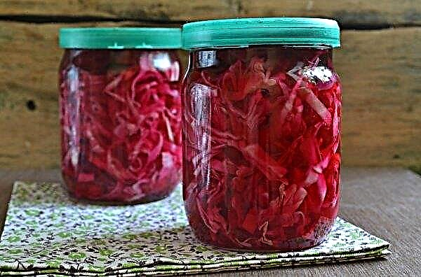 How to cook cabbage with beets for the winter in a jar, pan: the best recipes, photos, video