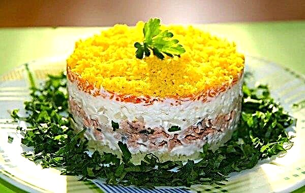 Salade de mimosa au saumon rose: une recette classique étape par étape avec des photos de la cuisson avec des pommes de terre et du poisson en conserve, avec du beurre et du fromage