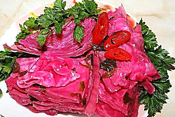 Pastillas de col (pelyushka): las mejores recetas de cocina, descripción paso a paso, foto y video