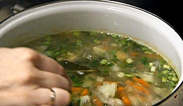 Sopa de salmón rosado en lata con arroz y papas: una receta paso a paso con una foto, cocinar sopa de pescado con pescado congelado y fresco