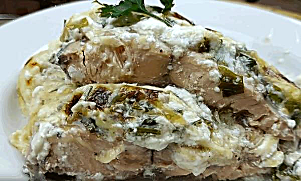 Rosa Lachs in Sahne: Im Ofen mit Scheiben gebacken, Rezepte mit Fotos, wie man Fischfilet mit Käse in einer cremigen Sauce in einer Pfanne kocht