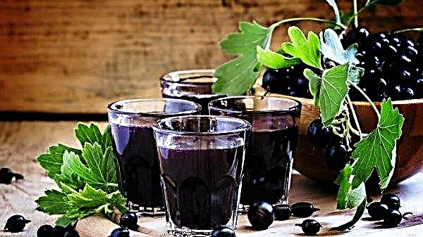 Blackcurrant liqueur, a simple recipe for cooking at home, with a photo