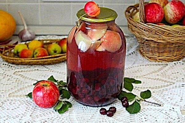 Sweet compote: step-by-step recipes for preparations, storage at home