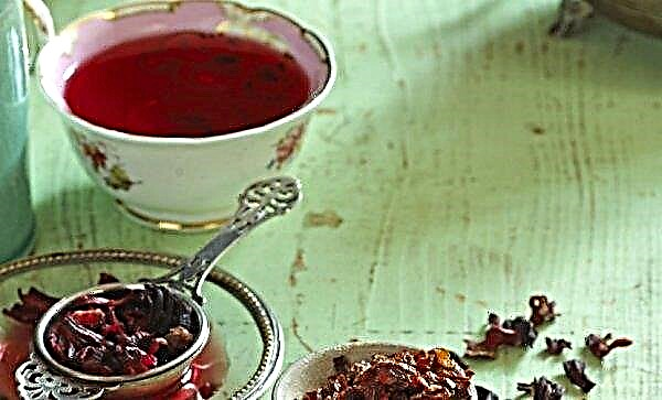 How to cook stewed rose hips: recipes with photos, benefits and harms