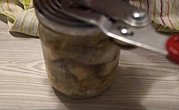 Canned fish: how to make at home, from bream in oil, in the oven from sea or river fish, step by step recipes with photos
