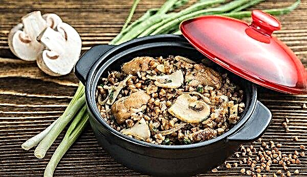Kiều mạch với nấm và hành tây: công thức nấu ăn, calo