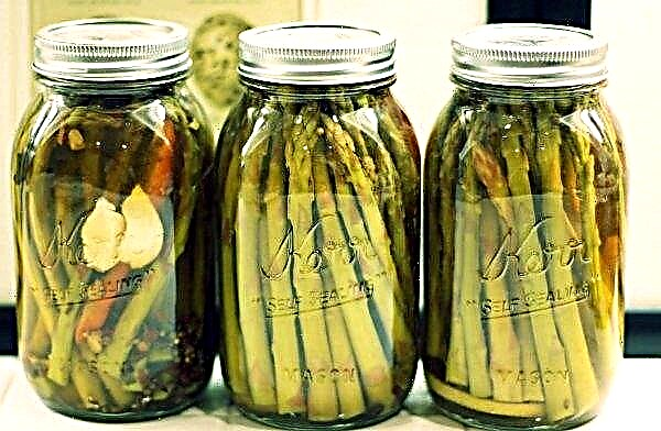 Asparagus: canning for the winter at home, recipes with photos
