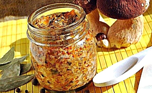 Caviar de cogumelos salgados ou em conserva: receitas