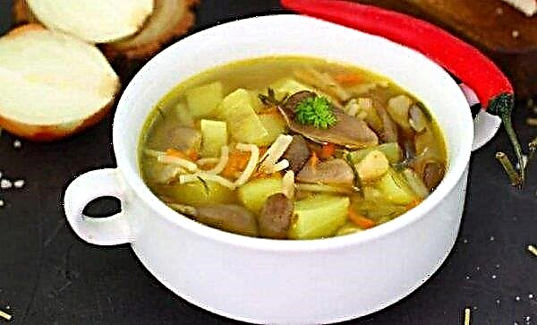 सिंदूर के साथ सूखे मशरूम का सूप कैसे बनाएं, तस्वीरों के साथ एक सरल और स्वादिष्ट कदम नुस्खा