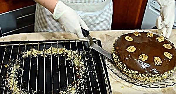 Kuchen mit Walnüssen: das leckerste und einfachste Rezept, die Zubereitungsmethode mit einem Foto Schritt für Schritt