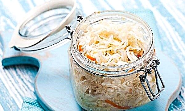 Sauerkraut for the winter with apples and carrots at home: a recipe