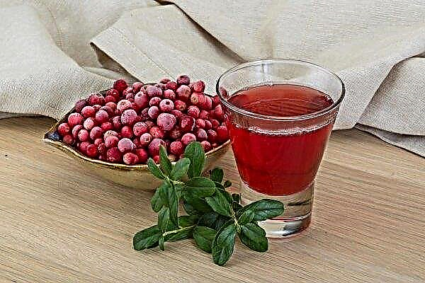 Βάμμα Lingonberry: απλές συνταγές, μαγείρεμα στο σπίτι με μια φωτογραφία