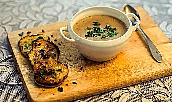 Etli ve etsiz mantar mantar çorbası nasıl pişirilir, adım adım fotoğrafla tarif