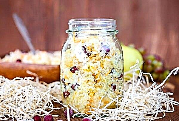 Pickled cabbage with lingonberries for the winter, recipe