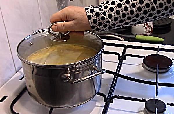 Comment faire cuire une soupe crémeuse aux champignons et au fromage à la crème: une recette étape par étape simple et savoureuse avec une photo
