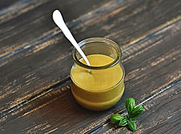3 best recipes and secrets for making homemade mustard