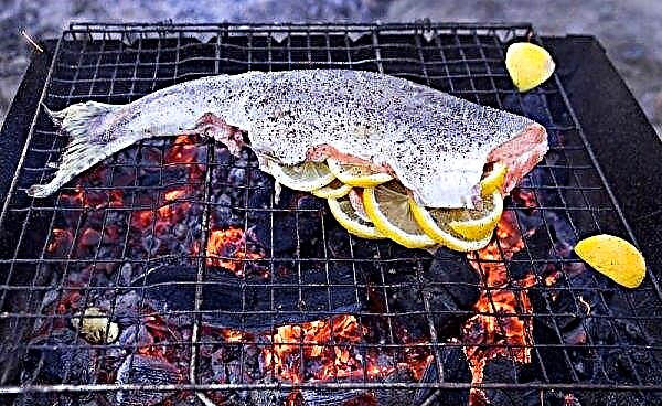 Pinkki lohi grillillä grillillä: vaiheittaiset reseptit valokuvien avulla kuinka herkullisesti marinoida ja keittää kalaa hiilifolioon