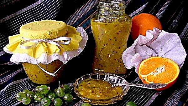 Gooseberry jam with orange, lemon through a meat grinder without cooking for the winter: a recipe for cooking at home