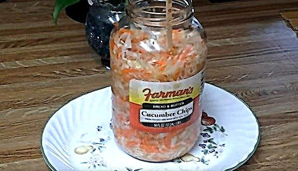 Sauerkraut with honey for the winter: simple and tasty recipes, step-by-step description, photo, video