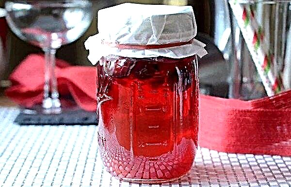 Tintura de cranberry com luar em casa: como cozinhar e beber