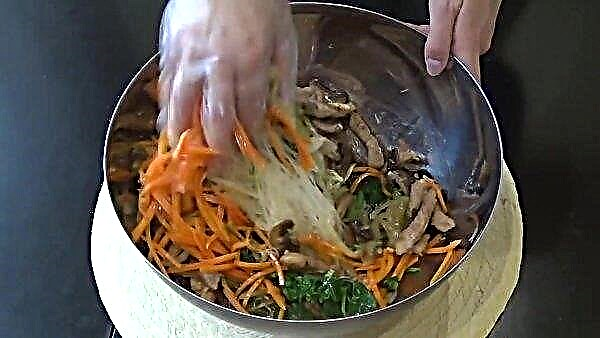 Salată fungoasă cu champignons și legume: o rețetă simplă pas cu pas pentru gătitul cu o fotografie