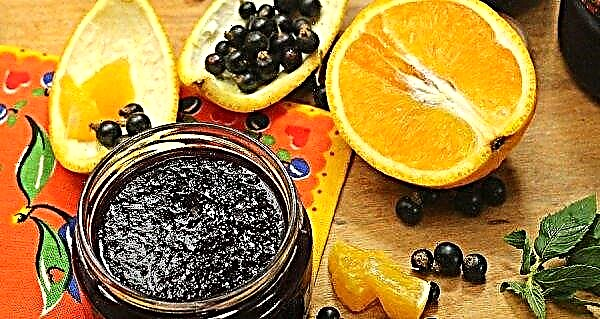 Black currant with a banana for the winter: with an orange, with a banana mashed, the best recipes