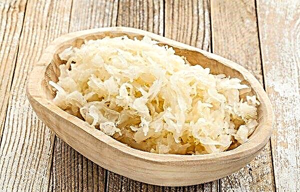 Sauerkraut with rye flour: the best recipes, storage rules