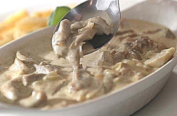 Pork with mushrooms in a creamy sauce, recipe, in a pan and in the oven