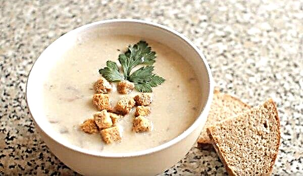 Comment faire cuire une délicieuse soupe de crème de champignon avec de la crème et des pommes de terre: une recette simple et étape par étape avec des photos