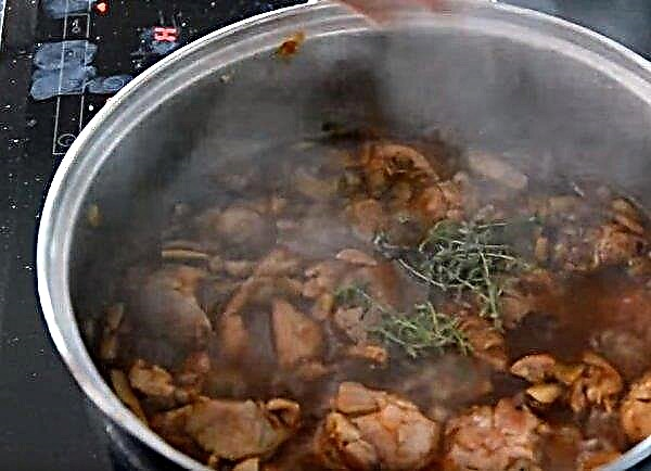 Phi lê Thổ Nhĩ Kỳ với nấm: những món ăn ngon nhất, phương pháp nấu ăn với hình ảnh