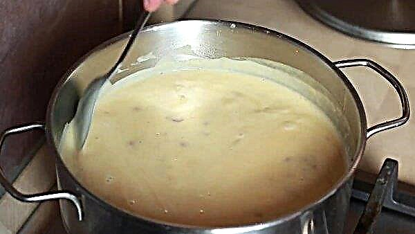 شوربة مع شانتيريل الطازجة: وصفة لكيفية طهي حساء الفطر ، وصفة بسيطة وسريعة خطوة بخطوة مع الصور