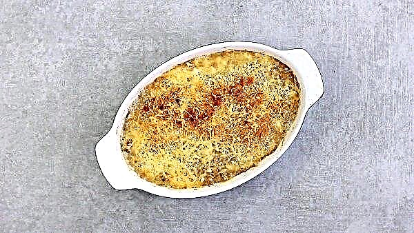 치즈와 마늘 사워 크림 버섯, 오븐에서 구운, 단계별 조리법으로 간단한 단계, 사진